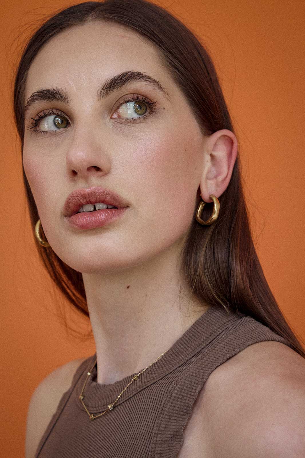 Curvy Earrings in Gold-Plated Silver