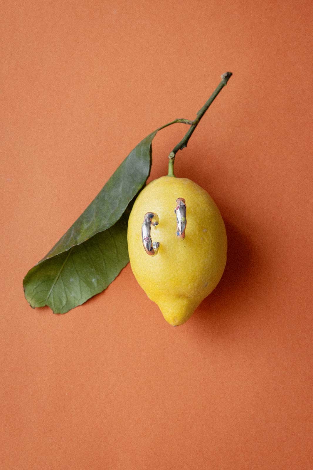 Funky Curvy Earrings in Silver with Colorit®