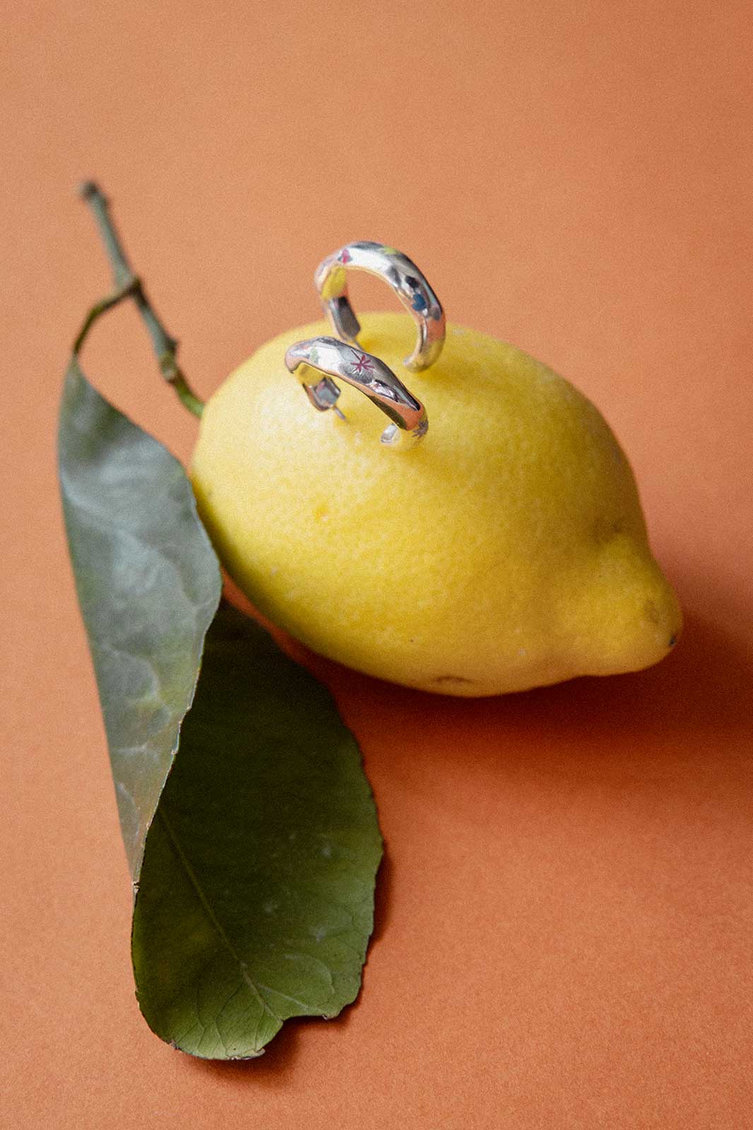 Funky Curvy Earrings in Silver with Colorit®
