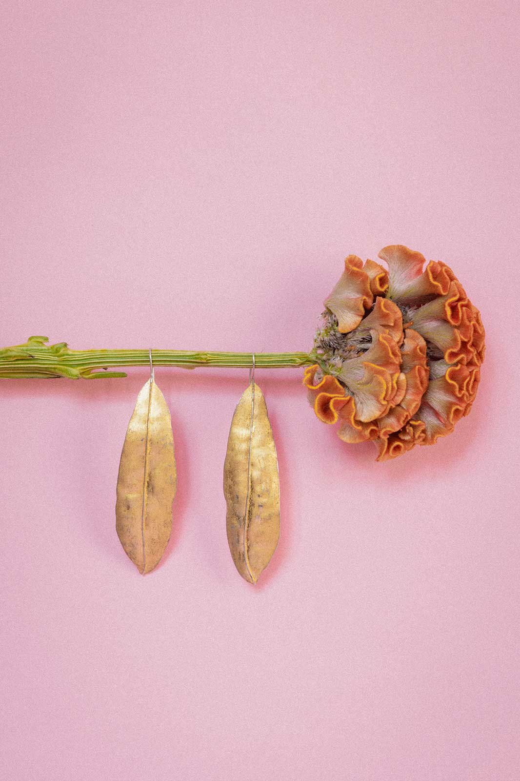 Linden Leaf Earrings in Gold-Plated Silver