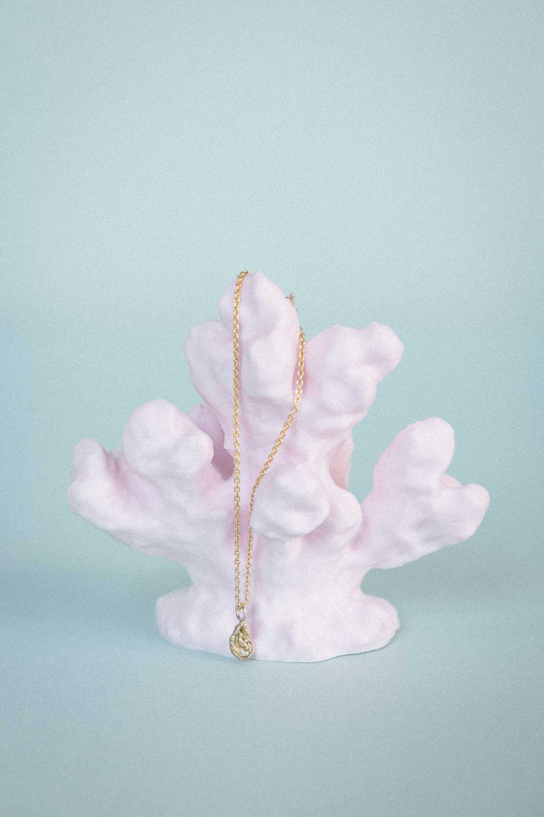 Delicate Chain Necklace with Oyster
