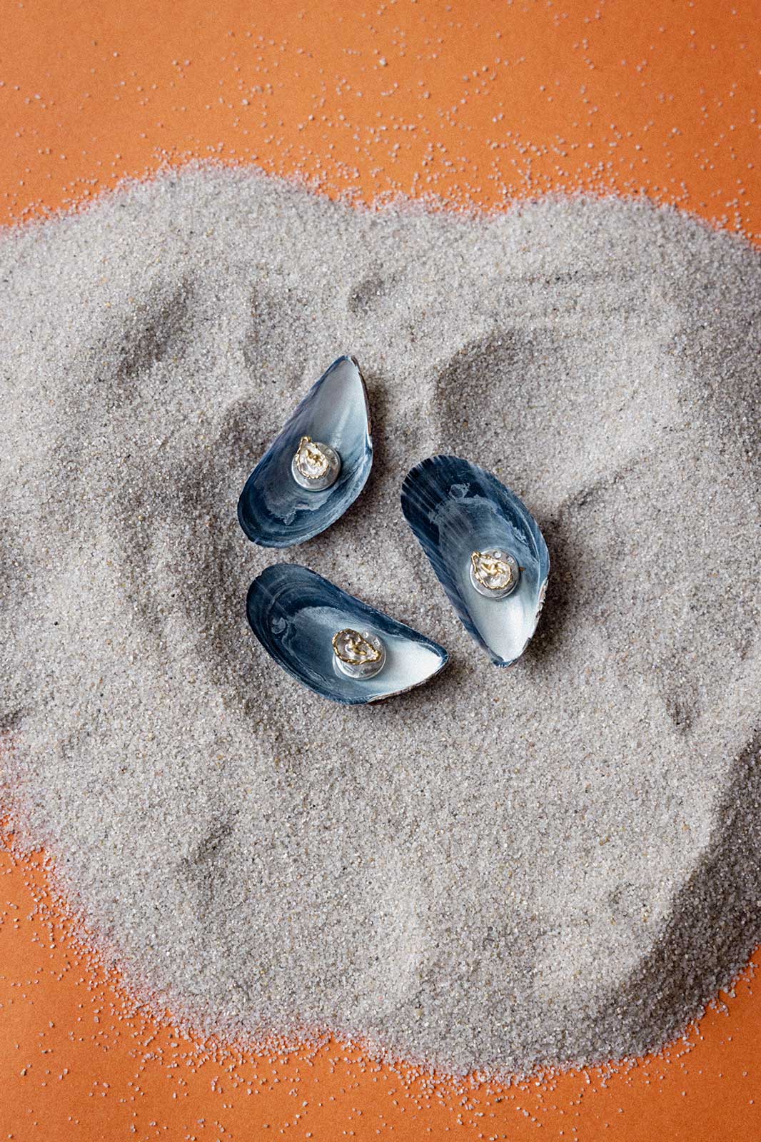 Oyster Smoking Buttons in Gold-Plated Silver